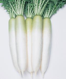 Ĥʥġ