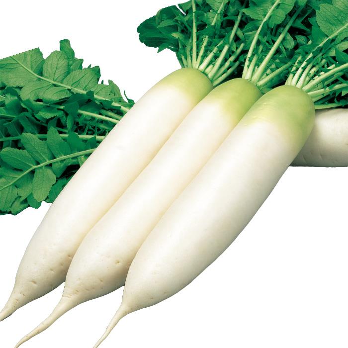 ���ΤϤ�ʥ������Υ��͡�