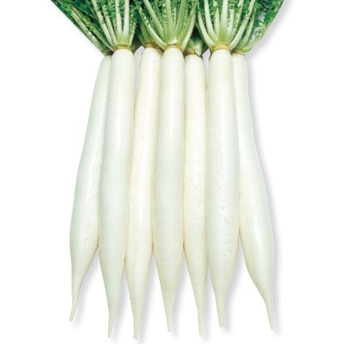 Ȭʥġ