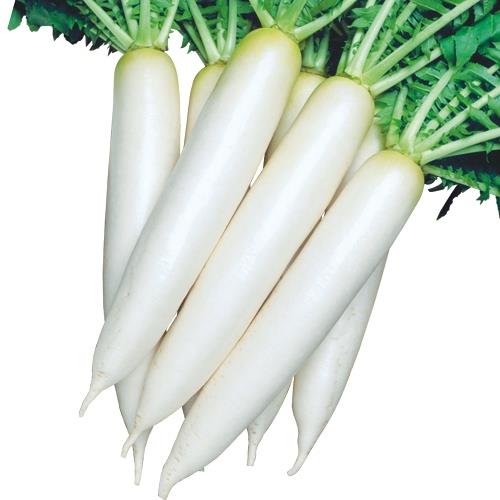 ڡʥġ