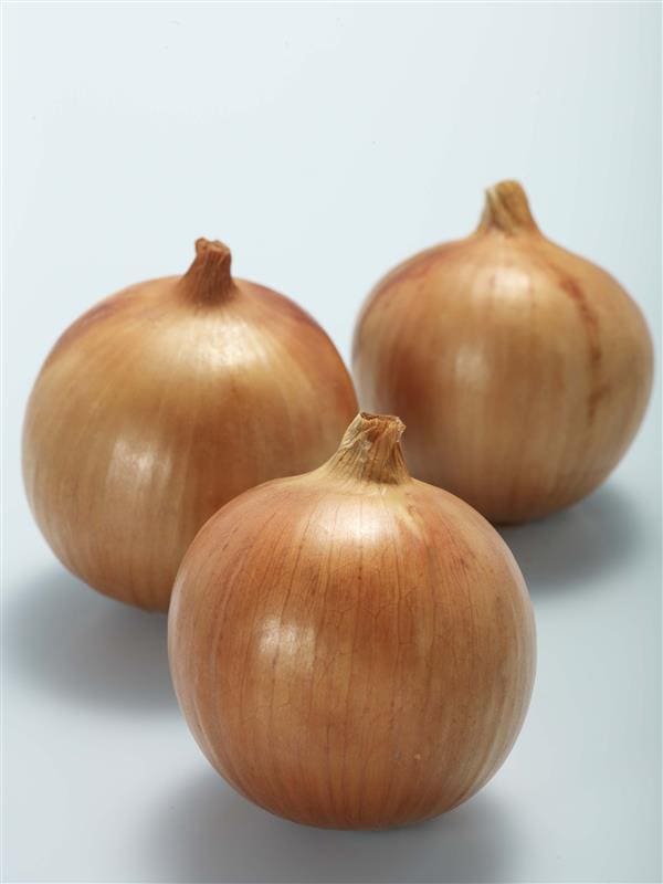 タマネギ男爵　 000000000251_OnNjcG1.jpg