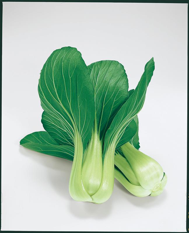 �칾�ʥȡ��ۥ���