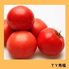 �ԣٽ�ʡ�ʥ��ͥ����ġ�