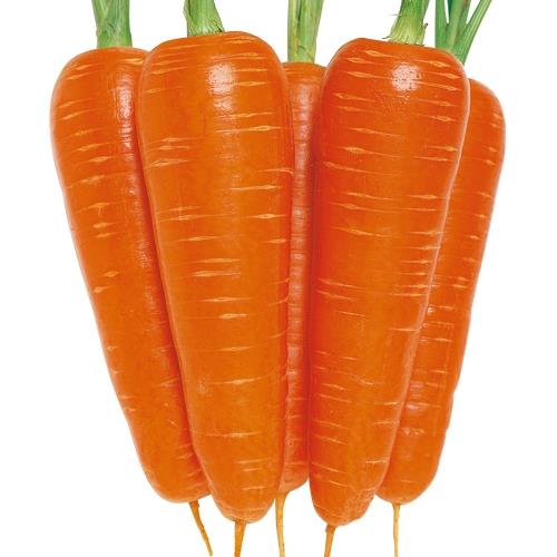 �۽������ʥ��������ġ�