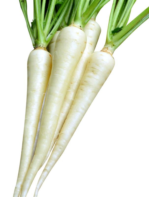 �ۥ磻�ȥϡ���ˡ��ʴݼ��
