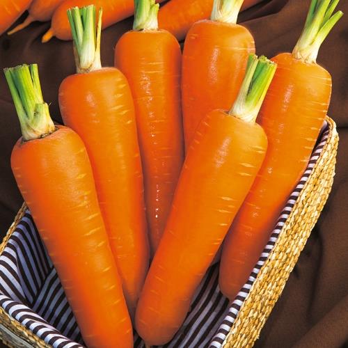 ͥ�ϡʥ��������ġ�