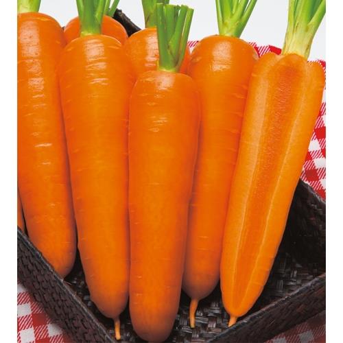 ���ϡʥ��������ġ�