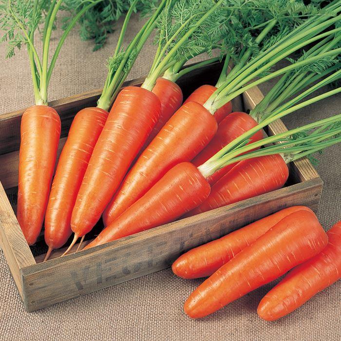 �١������������ʥ������Υ��͡�