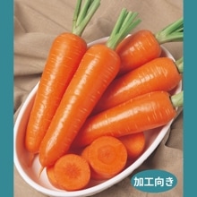 ץʥġ