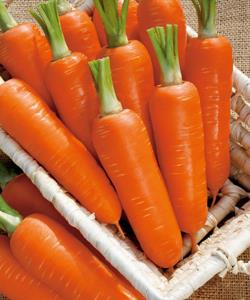 ����󥸥��ʥ��������ġ�