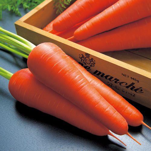 ���ह��ʥ��������ġ�