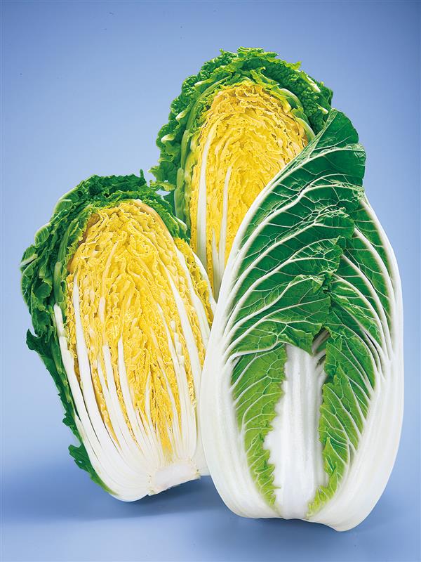 ��ʡ�ʥȡ��ۥ���