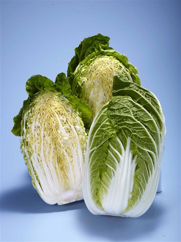 桜こまち（トーホク） | 野菜の種,葉菜,ハクサイ | アグリブック