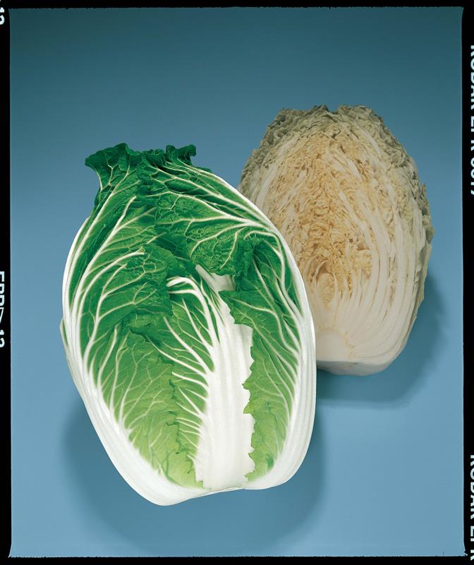 �ƶӡʥȡ��ۥ���