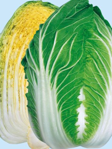 �����ۡ��������Ӽҡ�