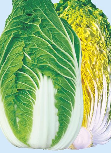 �����᤭���������Ӽҡ�