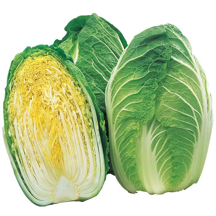 ����֤������ʥ������Υ��͡�