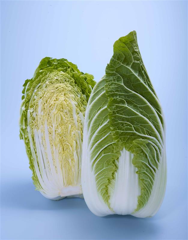 ��ʡ�����ʥȡ��ۥ���