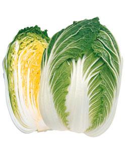 �������������ʥ��������ġ�