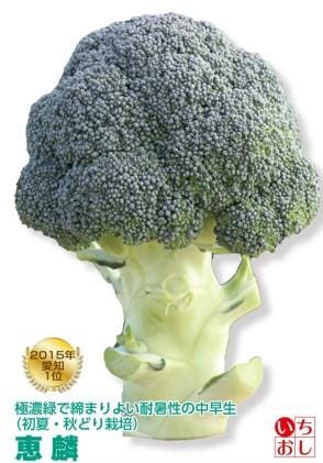 ���ۡʥȥ������ġ�