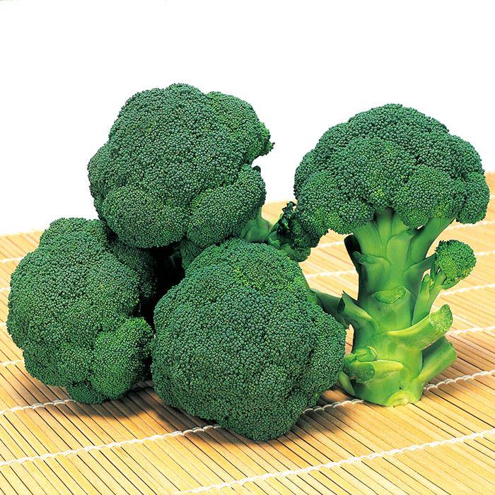 沢ゆたか(サカタのタネ) 野菜の種,葉菜,ブロッコリー アグリブック