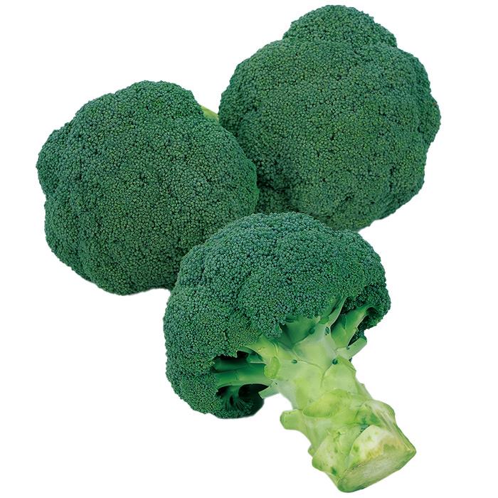 �쥤�ȥɡ���ʥ������Υ��͡�