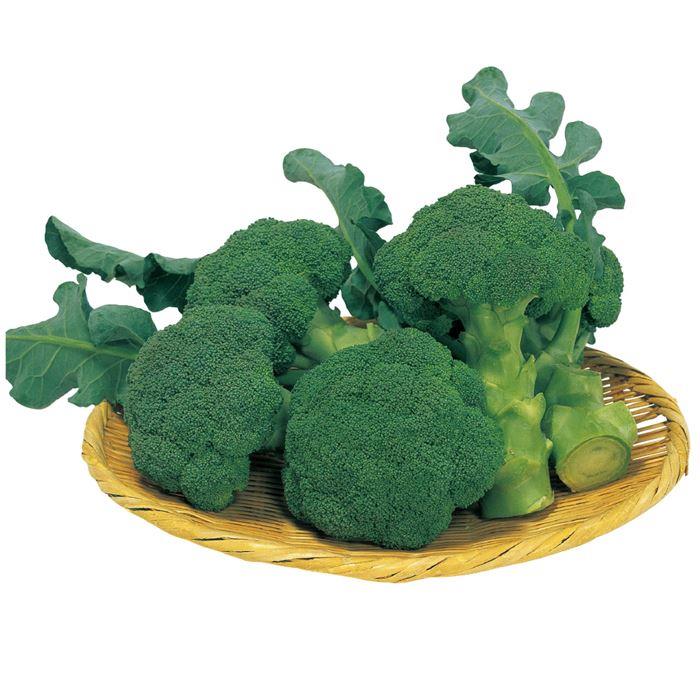 �ԥ�����ʥ������Υ��͡�