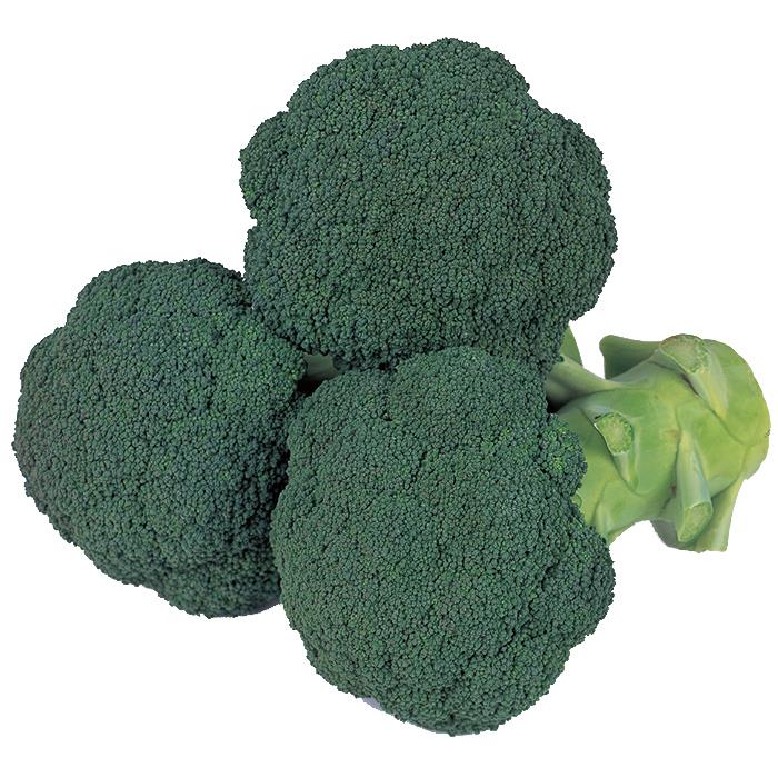 ���꡼�󥭥�Υ�ʥ������Υ��͡�