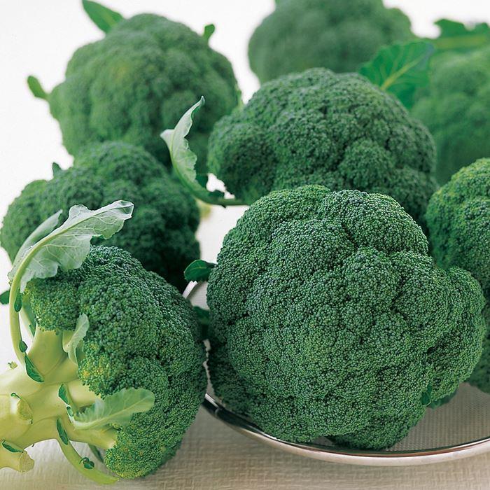 �����ɡ���ʥ������Υ��͡�