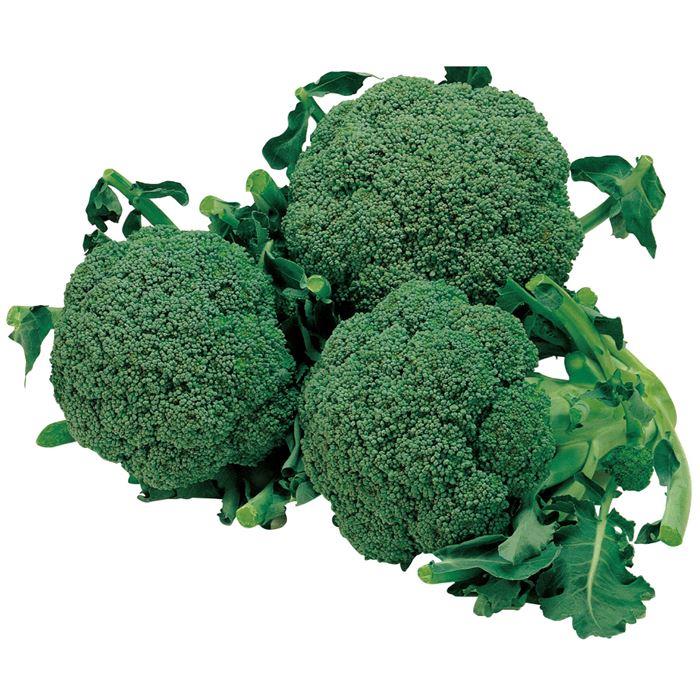 ����ʥ������Υ��͡�