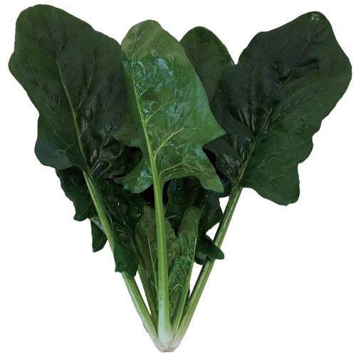 �ץꥦ���١����ʥȥ������ġ�