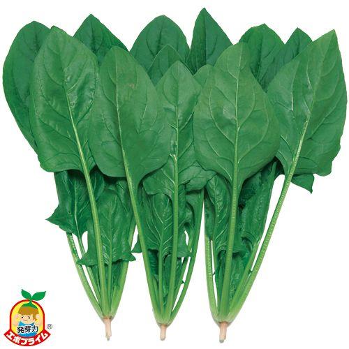 ���ꥵ�ޡ��������ʥ��������ġ�