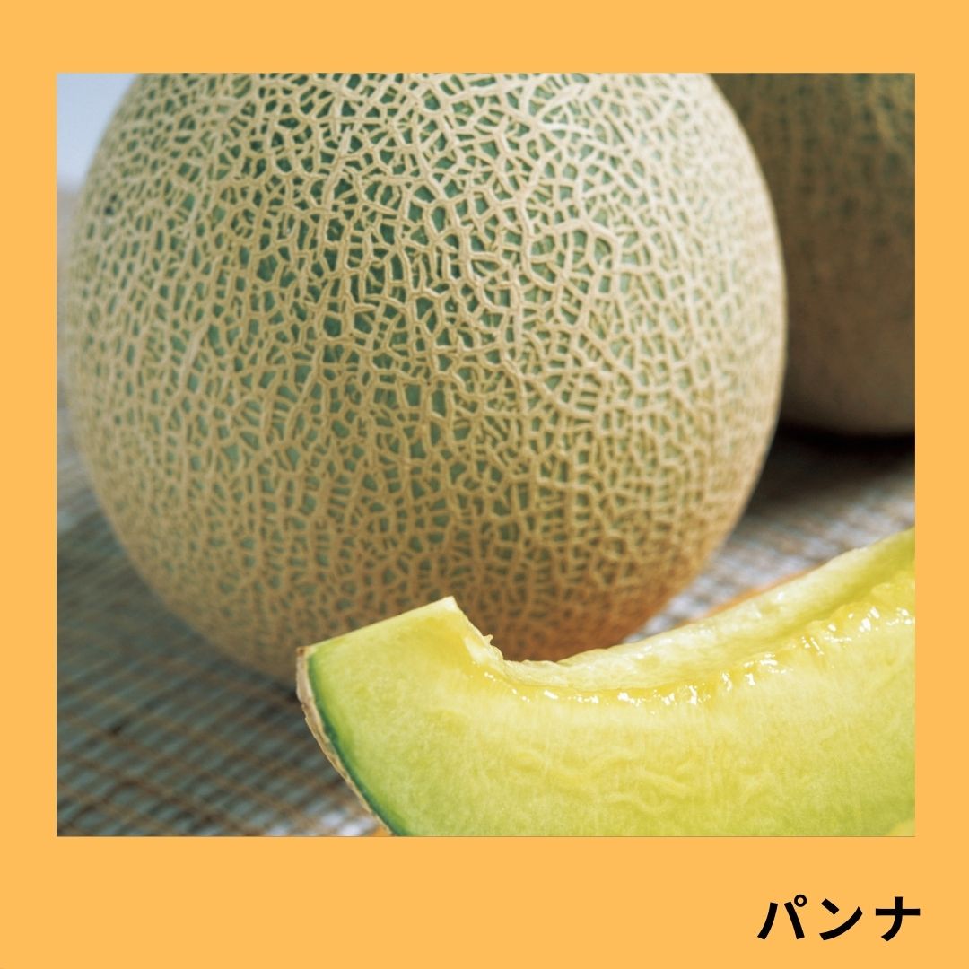 パンナメロン（タキイ種苗） | 野菜の種,果菜,メロン | アグリブック