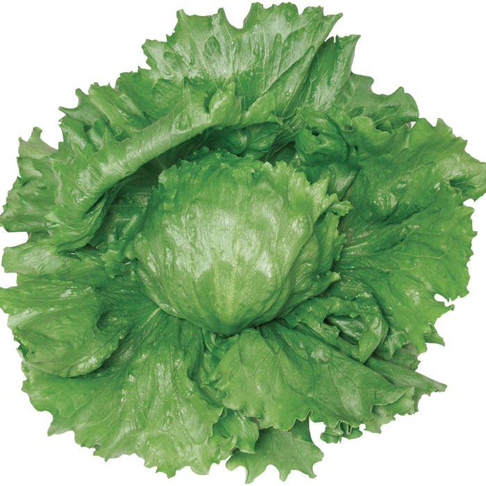 �ĥ��󥻥åȡʥ������Υ��͡�