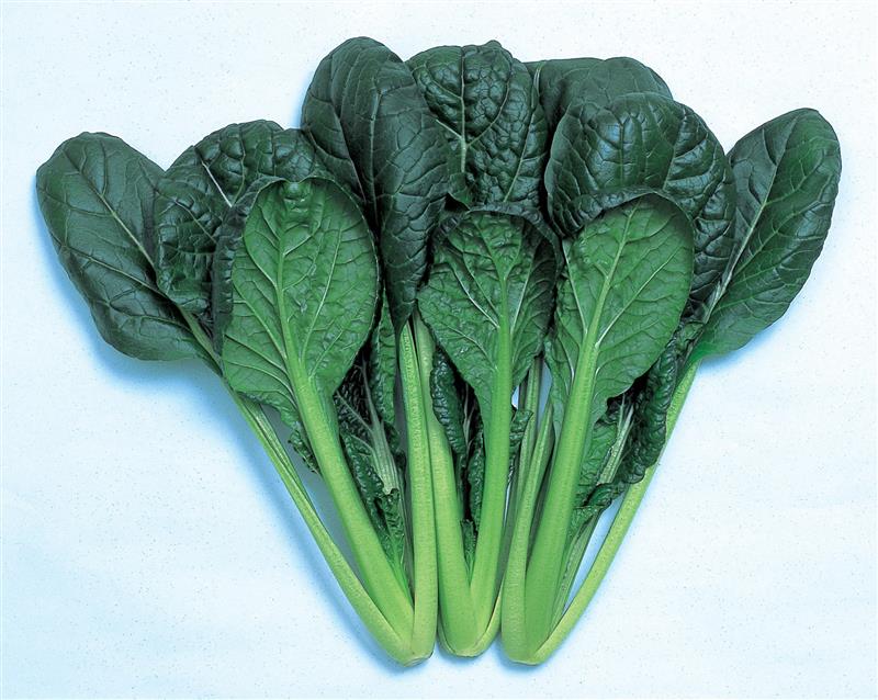 ���¤ߤ��ޤĺڡ����պμ���