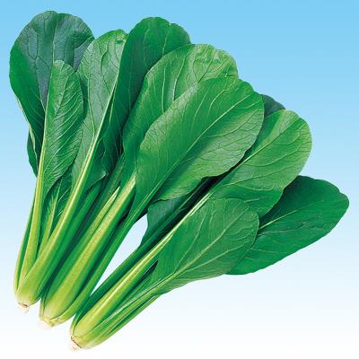 ��ĥ�狼�ʡ��渶�μ���