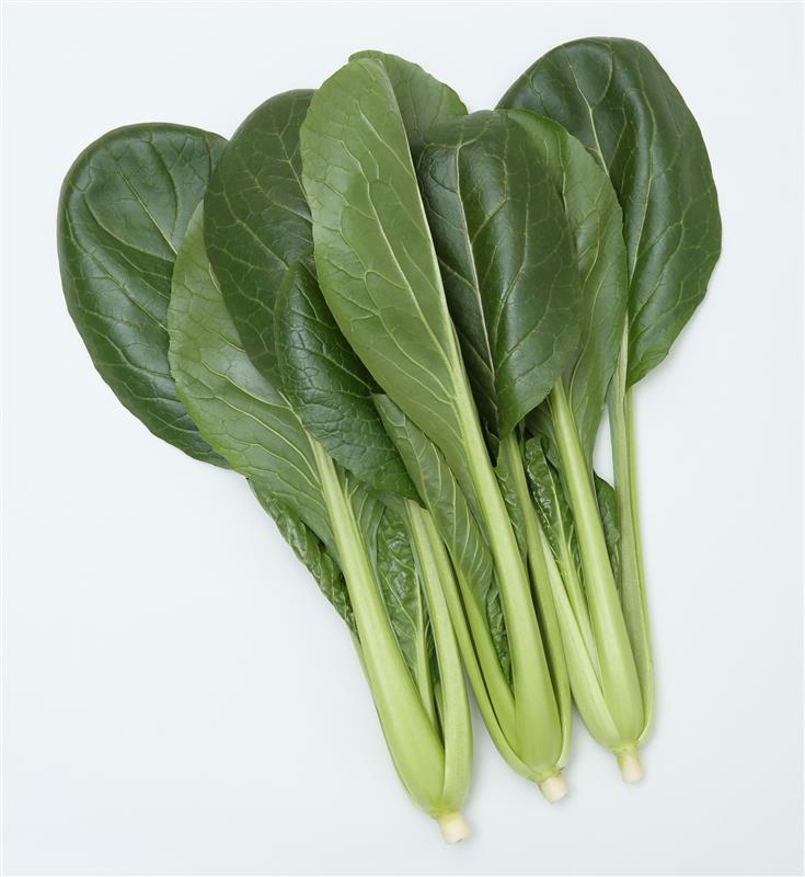 ���̣ãҡ����պμ���