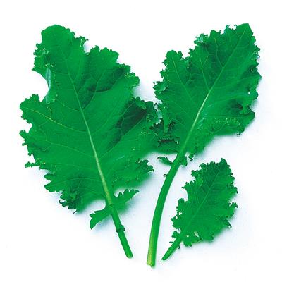 ���꡼�󥱡�����渶�μ���