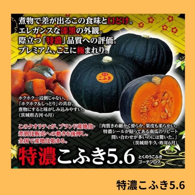 特濃こふき5．6（ナント種苗） | 野菜の種,果菜,カボチャ | アグリブック