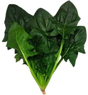 ����ꥪ��ʥȥ������ġ�