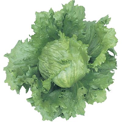 ���󥹥���ȡʥĥ륿�Υ��͡ˡ�