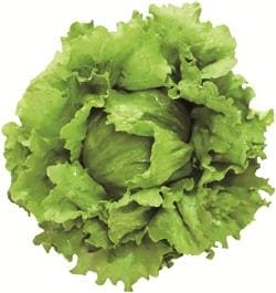 ����ѥ���إåɥ��饹�ʥĥ륿�Υ��͡ˡ�