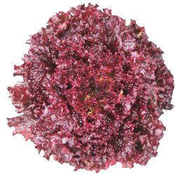 Υ١åɥ饹ʥĥ륿Υ͡ˡ