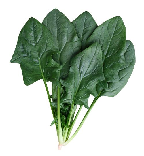 ���ѥ������ڡʥȥ������ġ�