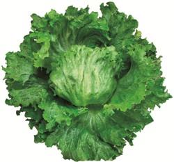 ��������ʥĥ륿�Υ��͡�