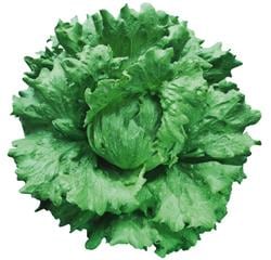 ��������إåɥ��饹�ʥĥ륿�Υ��͡ˡ�