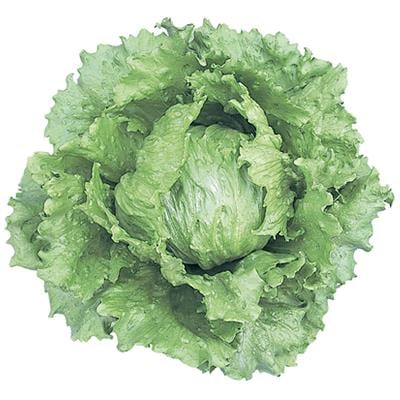 �����å��ʥĥ륿�Υ��͡ˡ�