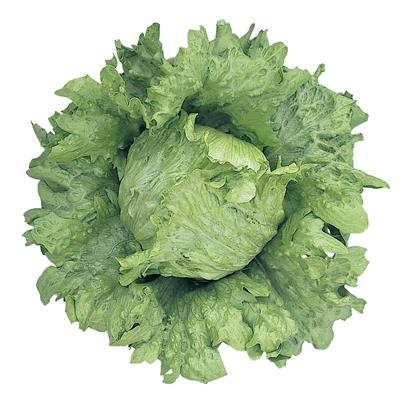 �饦��ɡʥĥ륿�Υ��͡ˡ�