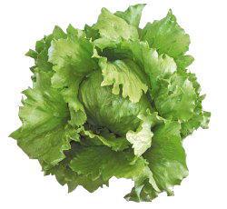 �ե������إåɥ��饹�ʥĥ륿�Υ��͡ˡ�