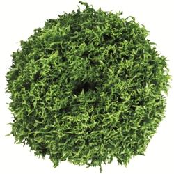 Υå꡼󥰥饹ʥĥ륿Υ͡ˡ